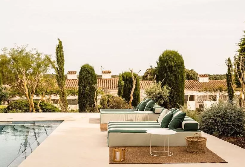 Fotos del hotel Rural Morvedra Nou:  8