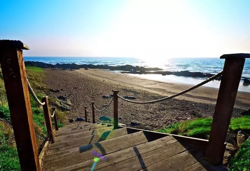 Fotos del hotel Shoreline:  12