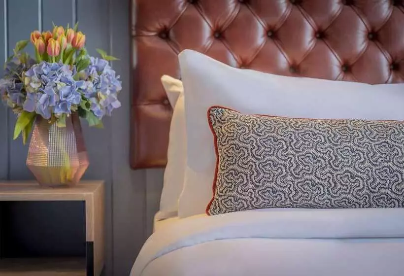 Fotos del hotel Shoreline:  21