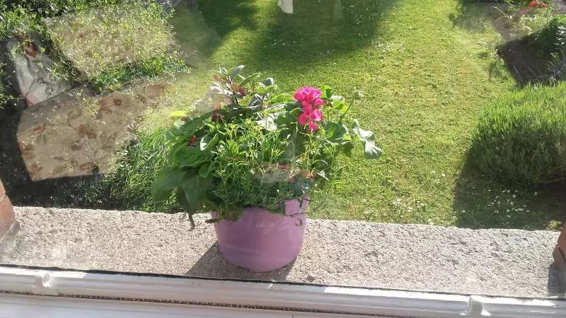 Fotos del hotel St. Aiden's Guesthouse:  10