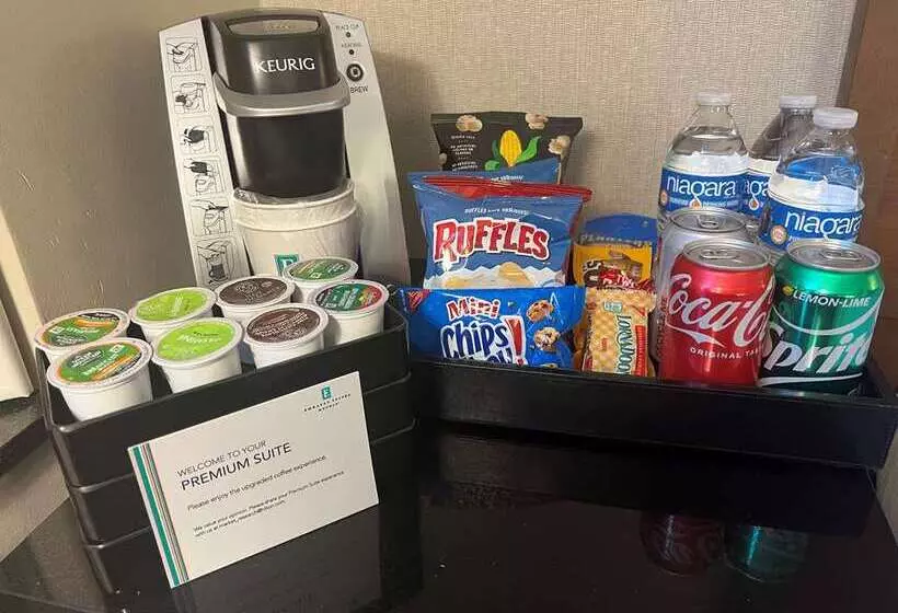 Fotos del hotel Embassy Suites Chicago Downtown Magnificent Mile:  15