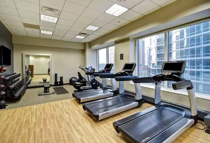 Fotos del hotel Embassy Suites Chicago Downtown Magnificent Mile:  6