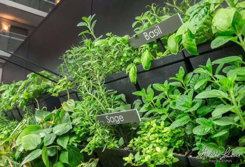 Fotos del hotel Embassy Suites Chicago Downtown Magnificent Mile:  11