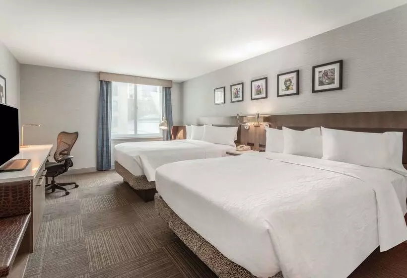 Fotos del hotel Hilton Garden Inn Philadelphia Center City:  25