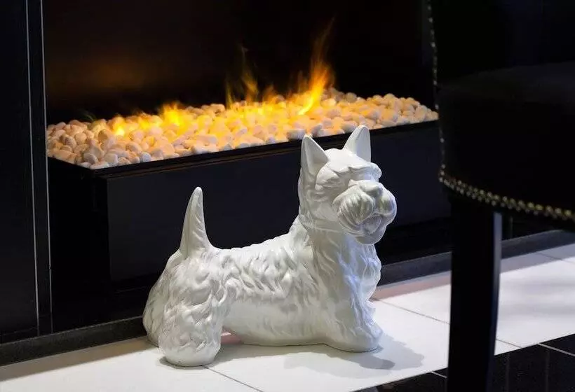 Fotos del hotel Petit Madeleine Hôtel:  7