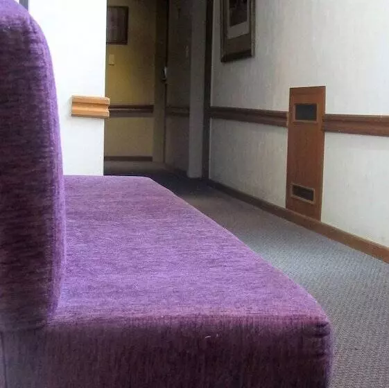 Fotos del hotel Impala:  10