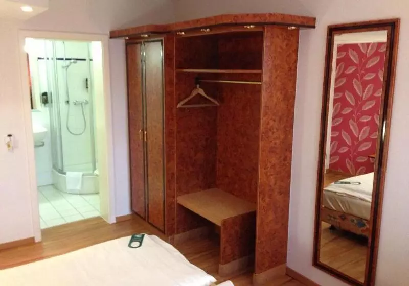 Fotos del hotel Miramar Am Römer:  22