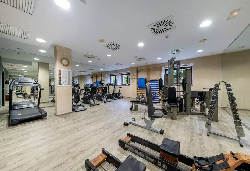 Fotos del hotel Castilla Termal Olmedo:  12