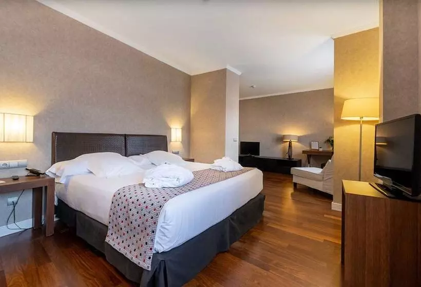 Fotos del hotel Castilla Termal Olmedo:  9