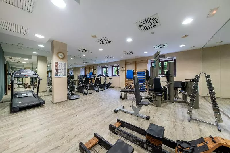 Fotos del hotel Castilla Termal Olmedo:  4