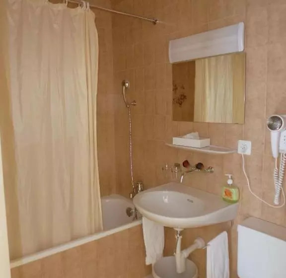 Fotos del hotel Central Continental:  5