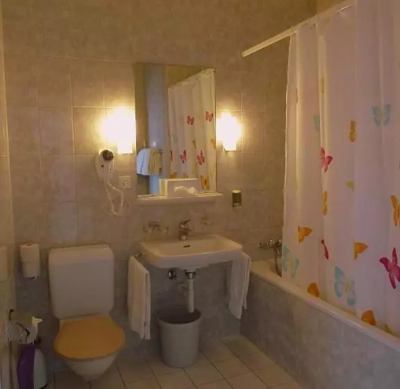 Fotos del hotel Central Continental:  7