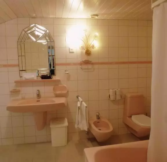 Fotos del hotel Central Continental:  9