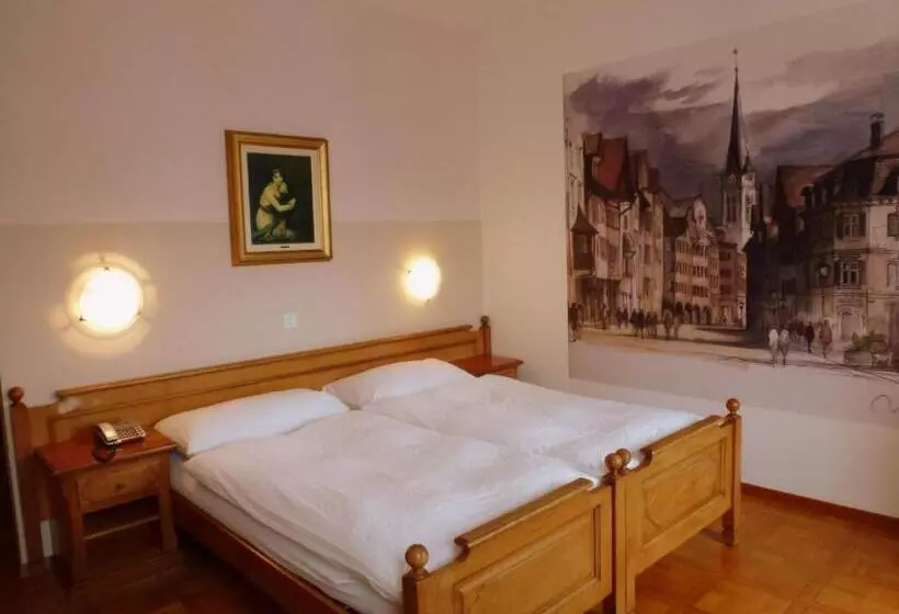 Fotos del hotel Central Continental:  18