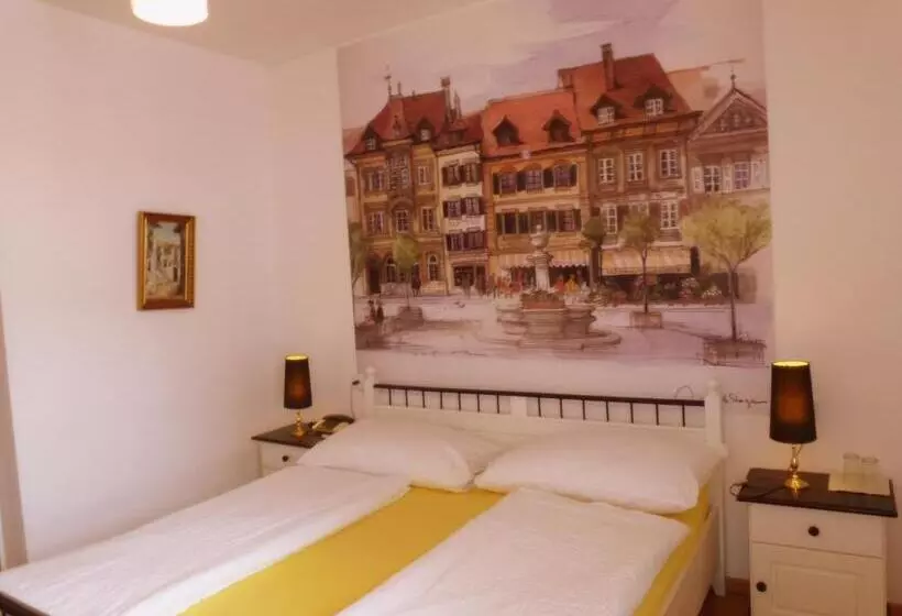 Fotos del hotel Central Continental:  20