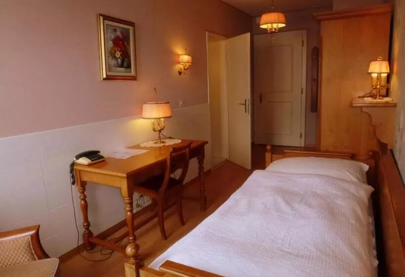 Fotos del hotel Central Continental:  21