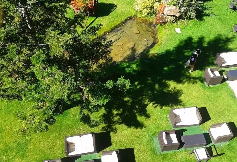 Fotos del hotel Roca Blanca:  13