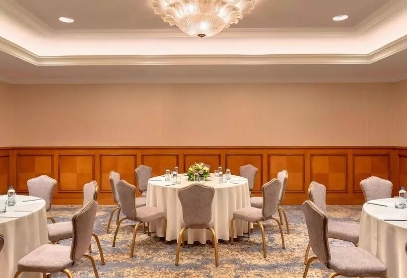 Fotos del hotel The Ritzcarlton, Istanbul At The Bosphorus:  22