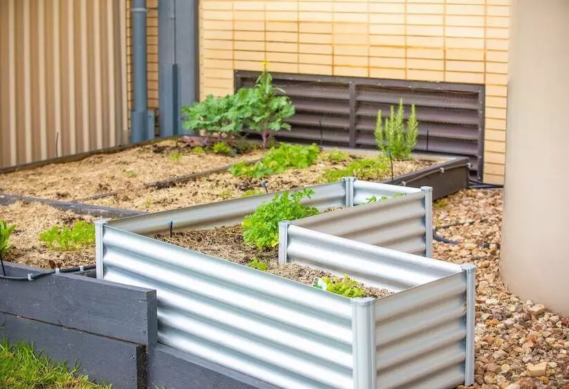 Fotos del hotel Holiday Inn Melbourne Airport, An Ihg:  19