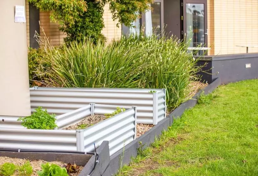 Fotos del hotel Holiday Inn Melbourne Airport, An Ihg:  15