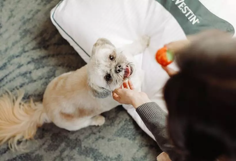 Fotos del hotel The Westin New York At Times Square:  20
