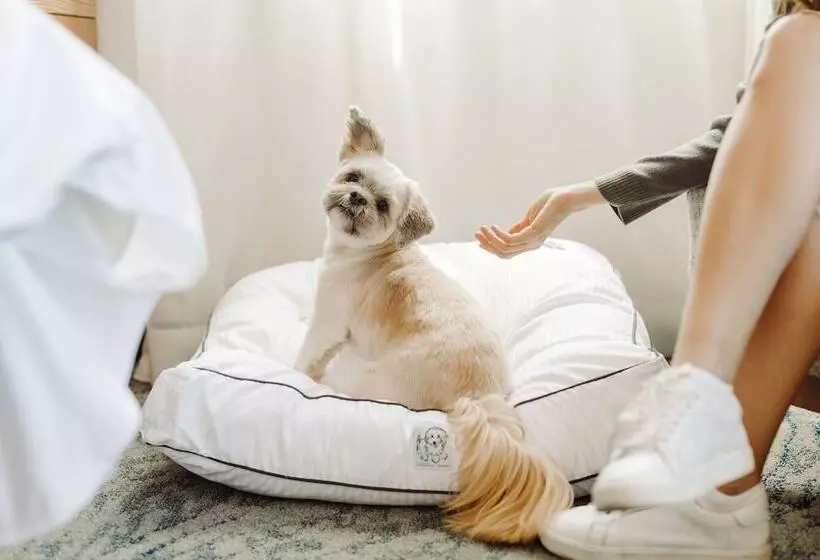 Fotos del hotel The Westin New York At Times Square:  24