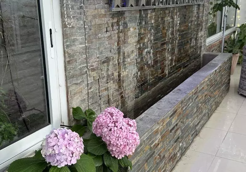 Fotos del hotel Azul:  10