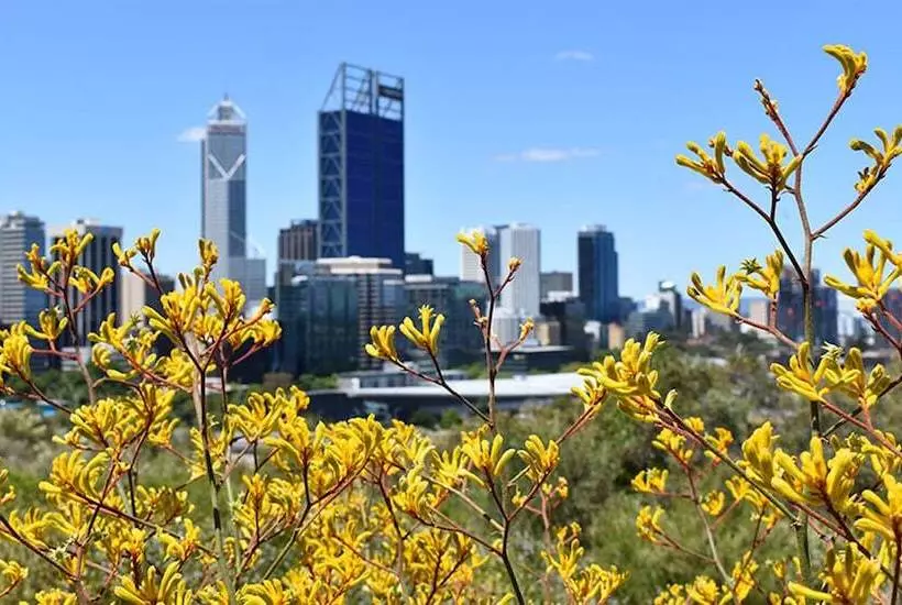 Fotos del hotel Holiday Inn Perth City Centre, An Ihg:  16