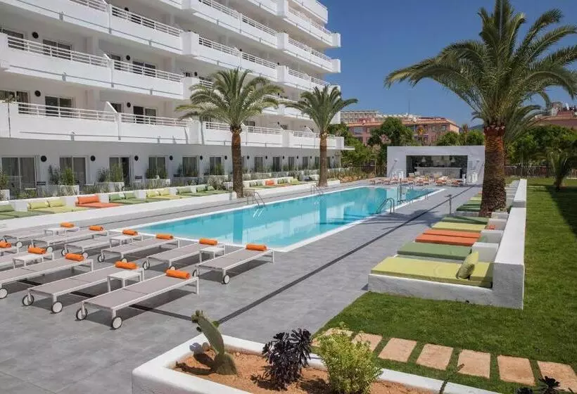 Fotos del hotel Hm Martinique:  13