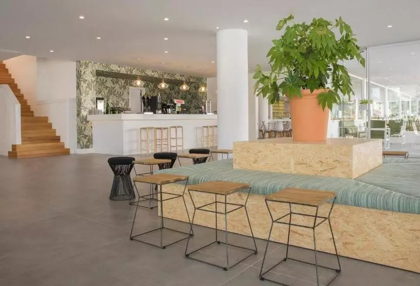 Fotos del hotel Hm Martinique:  20