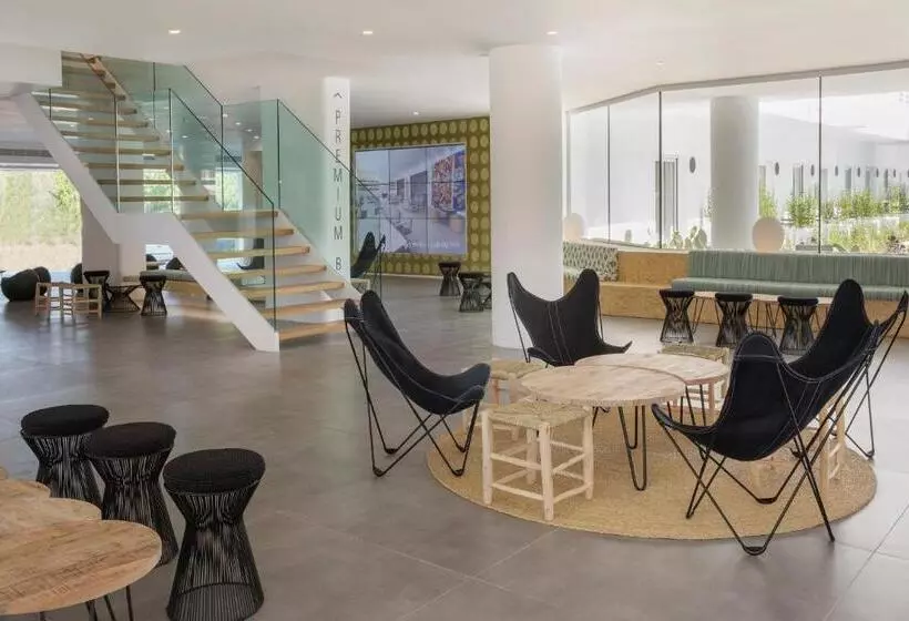 Fotos del hotel Hm Martinique:  15