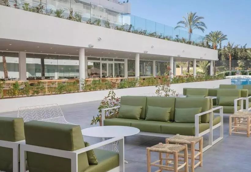 Fotos del hotel Hm Martinique:  9