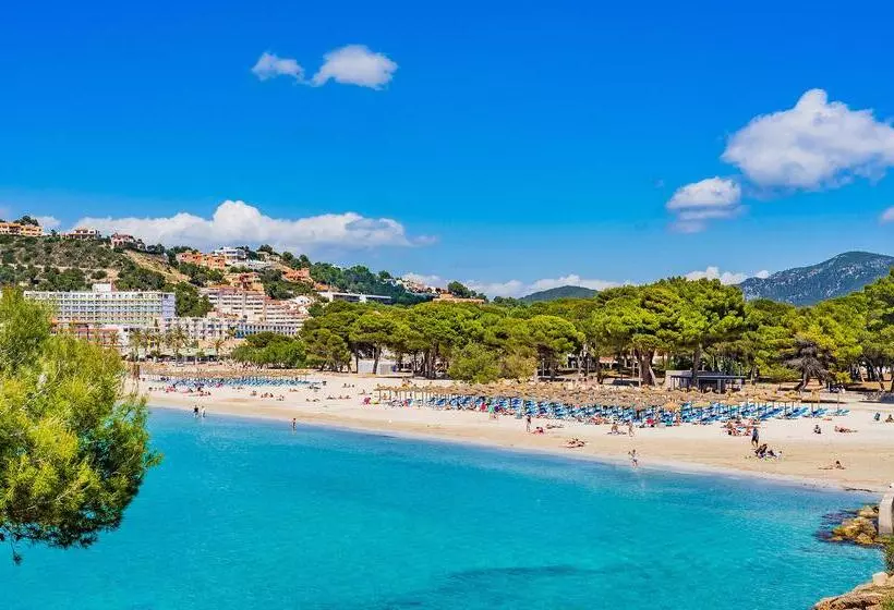 Fotos del hotel Msh Mallorca Senses , Santa Ponsa  Adults Only:  32