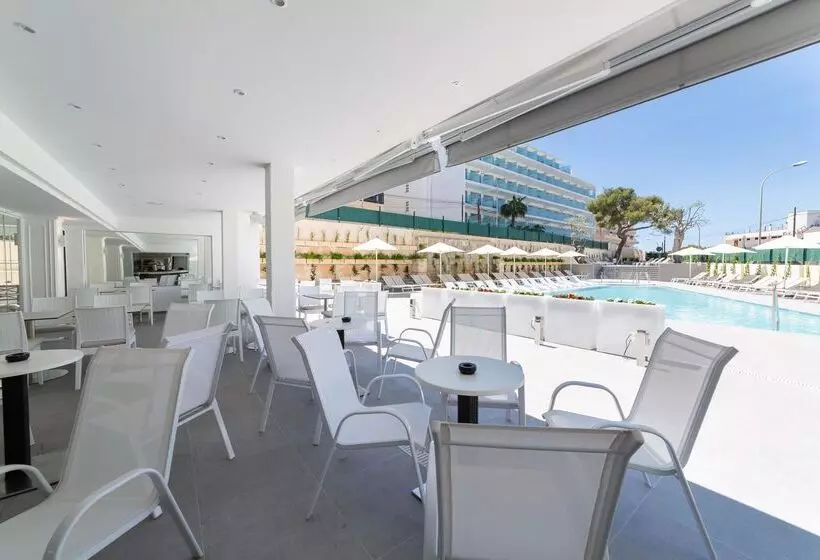 Fotos del hotel Msh Mallorca Senses , Santa Ponsa  Adults Only:  21