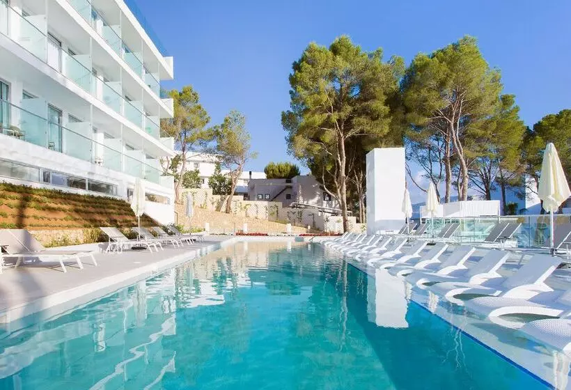 Fotos del hotel Msh Mallorca Senses , Santa Ponsa  Adults Only:  63