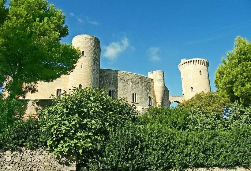 Fotos del hotel Msh Mallorca Senses , Santa Ponsa  Adults Only:  82