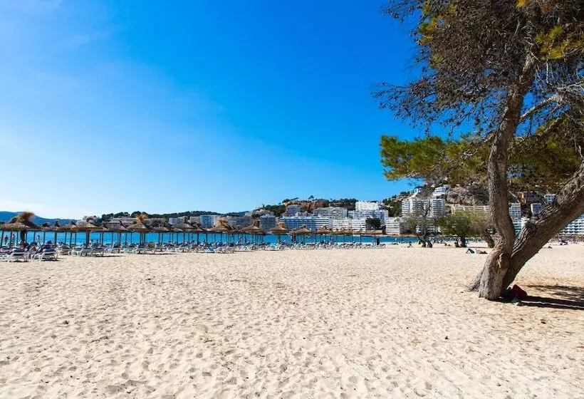 Fotos del hotel Msh Mallorca Senses , Santa Ponsa  Adults Only:  80