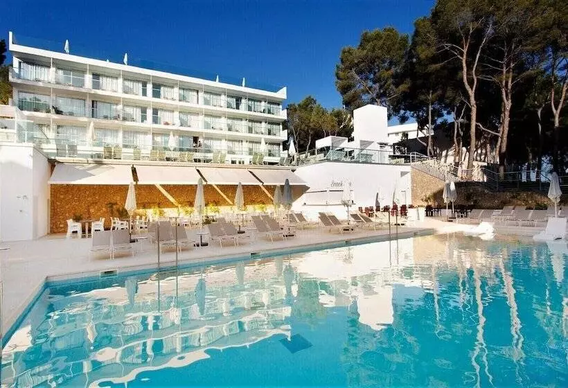 Fotos del hotel Msh Mallorca Senses , Santa Ponsa  Adults Only:  38