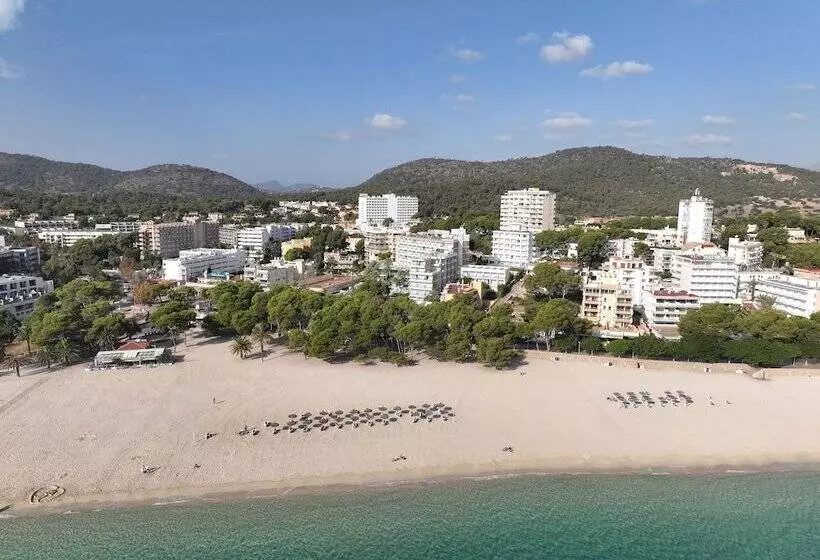 Fotos del hotel Msh Mallorca Senses , Santa Ponsa  Adults Only:  33