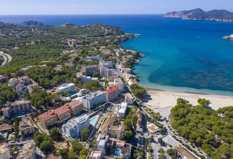 Fotos del hotel Msh Mallorca Senses , Santa Ponsa  Adults Only:  31