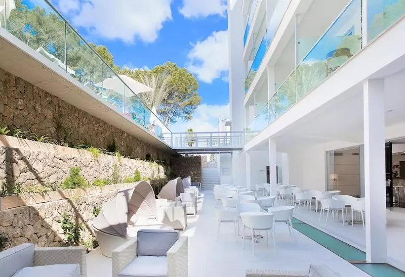 Fotos del hotel Msh Mallorca Senses , Santa Ponsa  Adults Only:  28