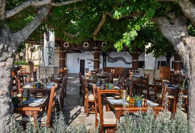 Fotos del hotel Elysium:  7