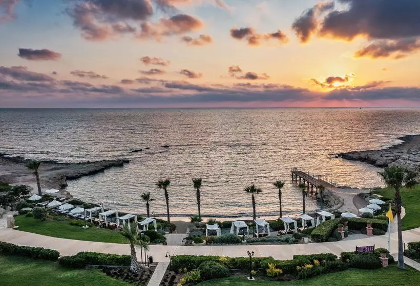 Fotos del hotel Elysium:  25