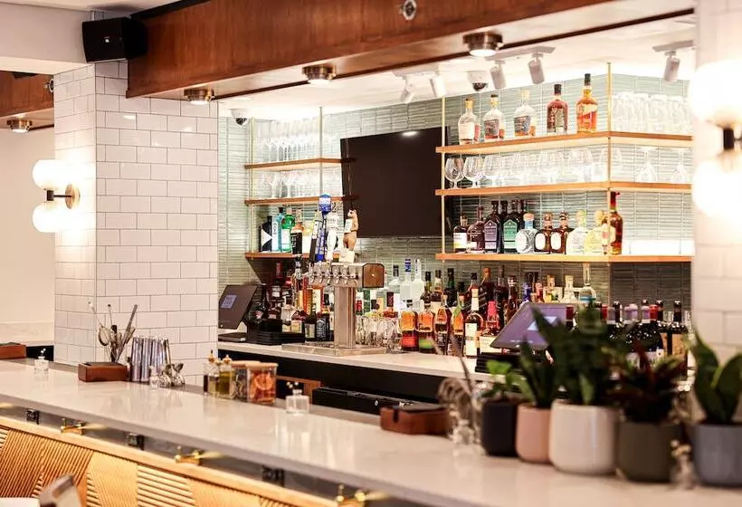 Fotos del hotel Shelburne Hotel & Suites by Affinia:  3