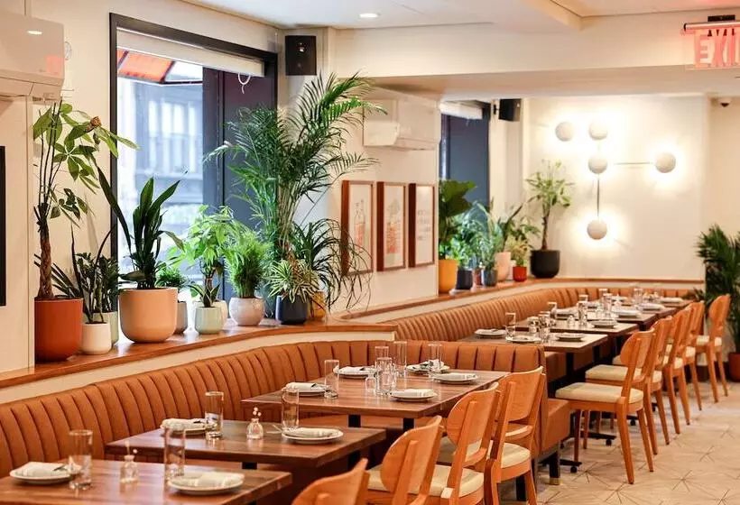 Fotos del hotel Shelburne Hotel & Suites by Affinia:  12