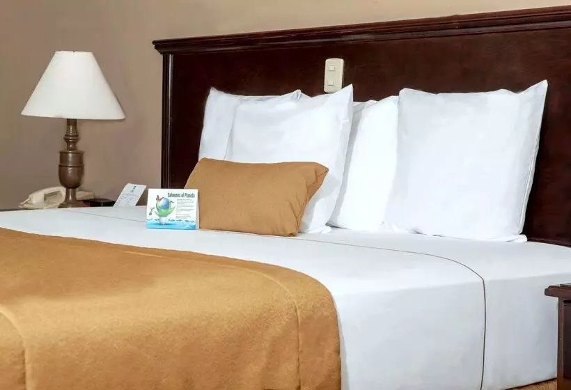 Fotos del hotel Best Western  Posada Del Rio Express:  11