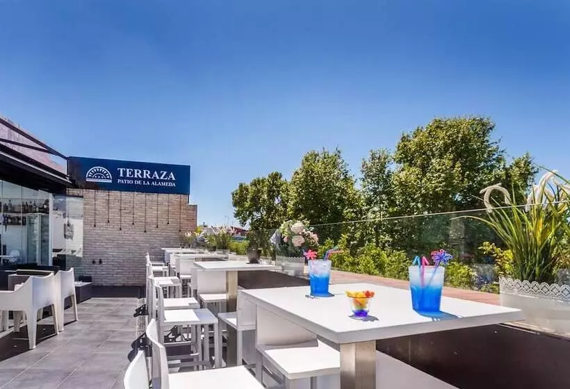 Fotos del hotel Patio De La Alameda:  8