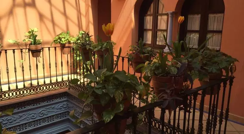 Fotos del hotel Patio De La Alameda:  16