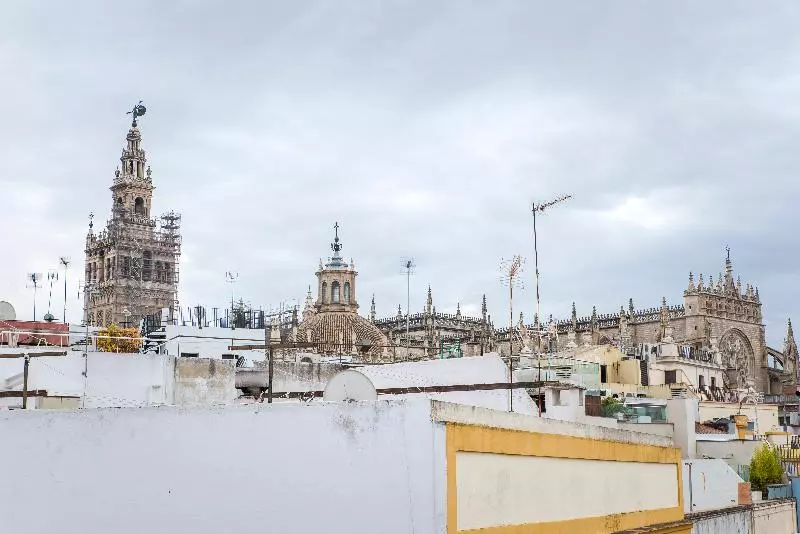 Fotos del hotel Petit Palace Marques Santa Ana:  8