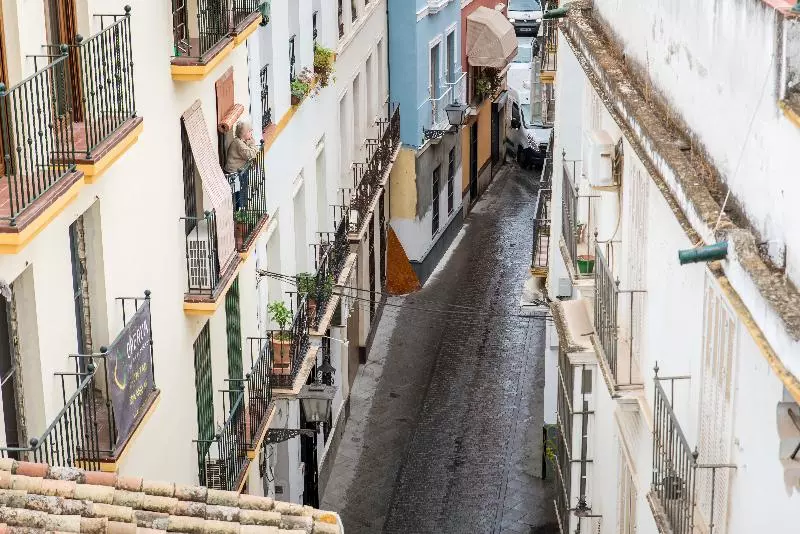 Fotos del hotel Petit Palace Marques Santa Ana:  13